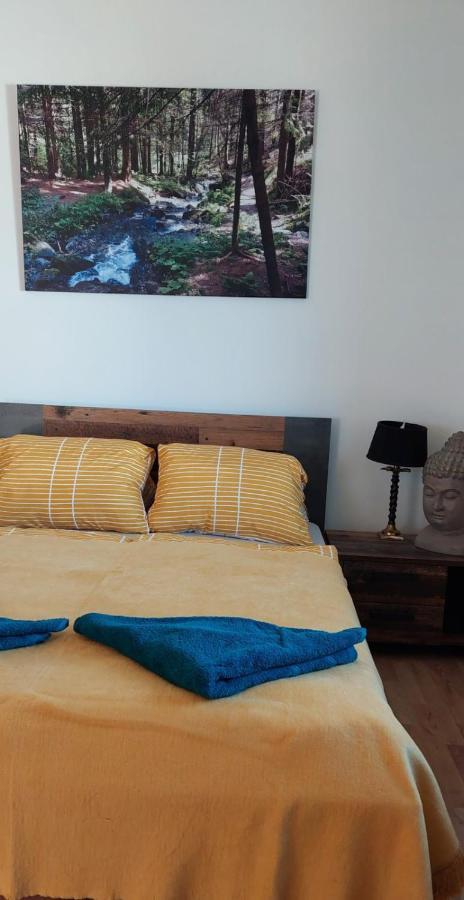 Bed and Breakfast Wald-Panorama-Zimmer Mönichkirchen Exteriér fotografie