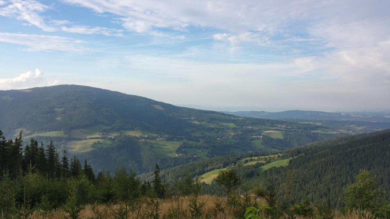Bed and Breakfast Wald-Panorama-Zimmer Mönichkirchen Exteriér fotografie