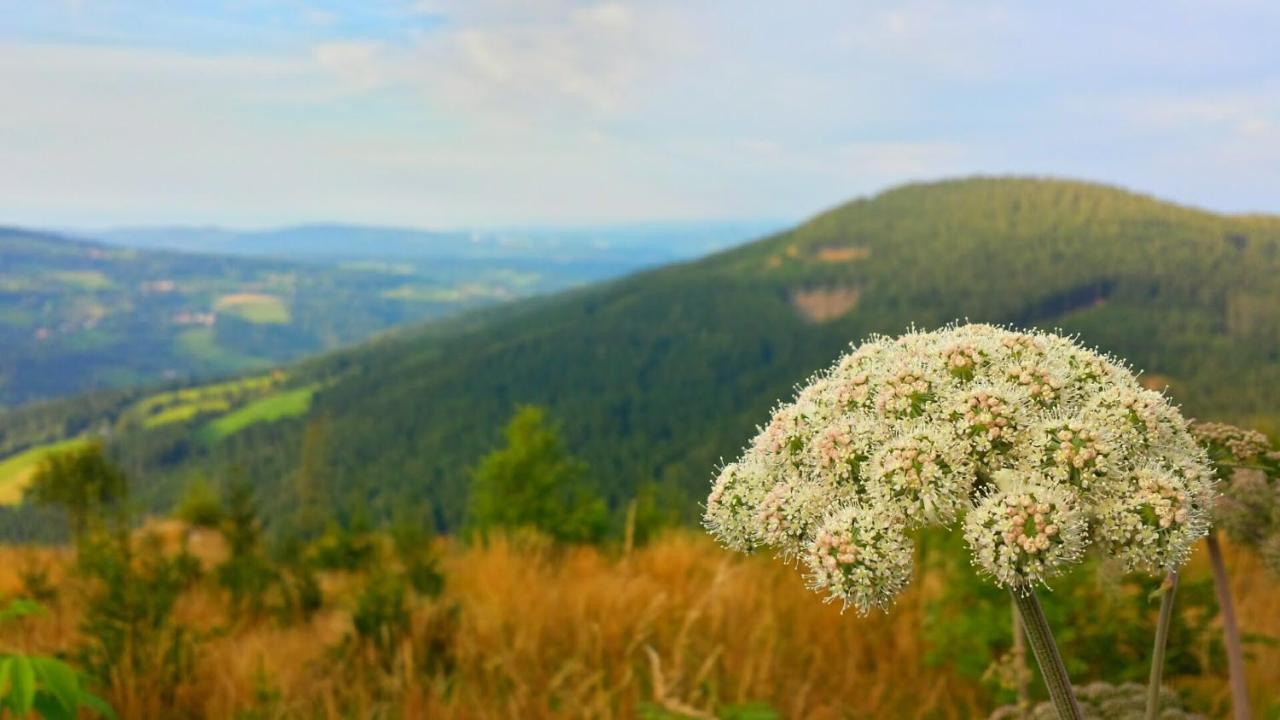 Bed and Breakfast Wald-Panorama-Zimmer Mönichkirchen Exteriér fotografie